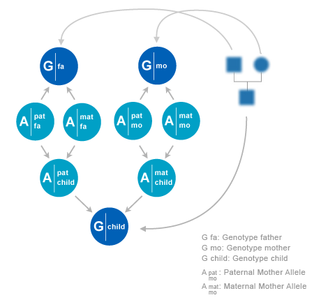 Bayesian network